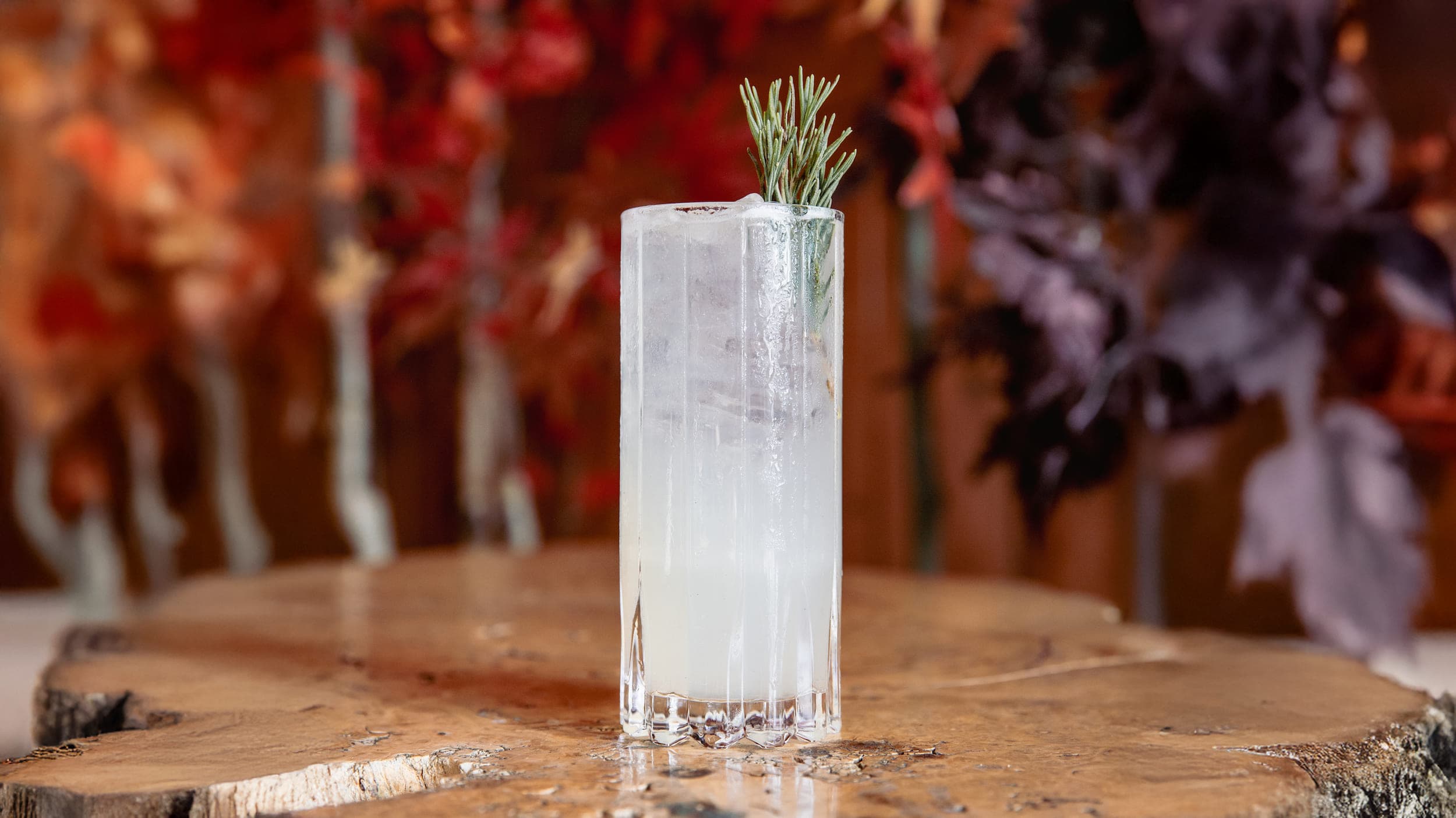 A cocktail in a tall glass with rosemary for garnish at Autumn Bar