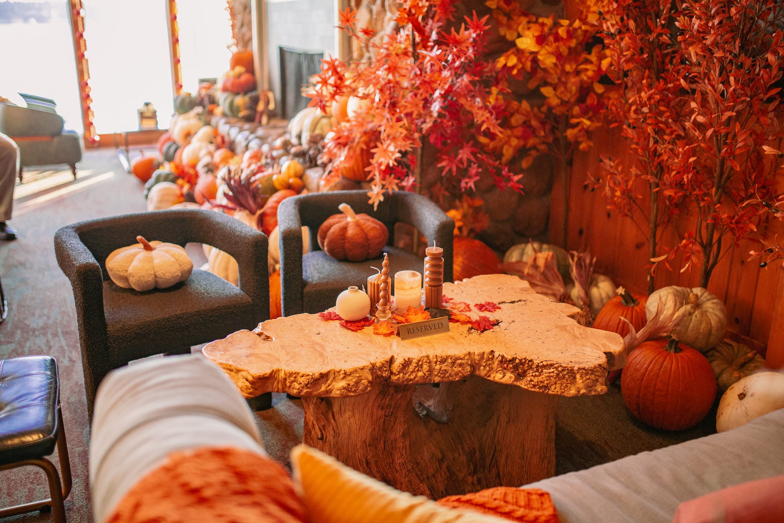An oak live edge coffee table with two lounge chairs in the lobby of Edgewater decorated for autumn