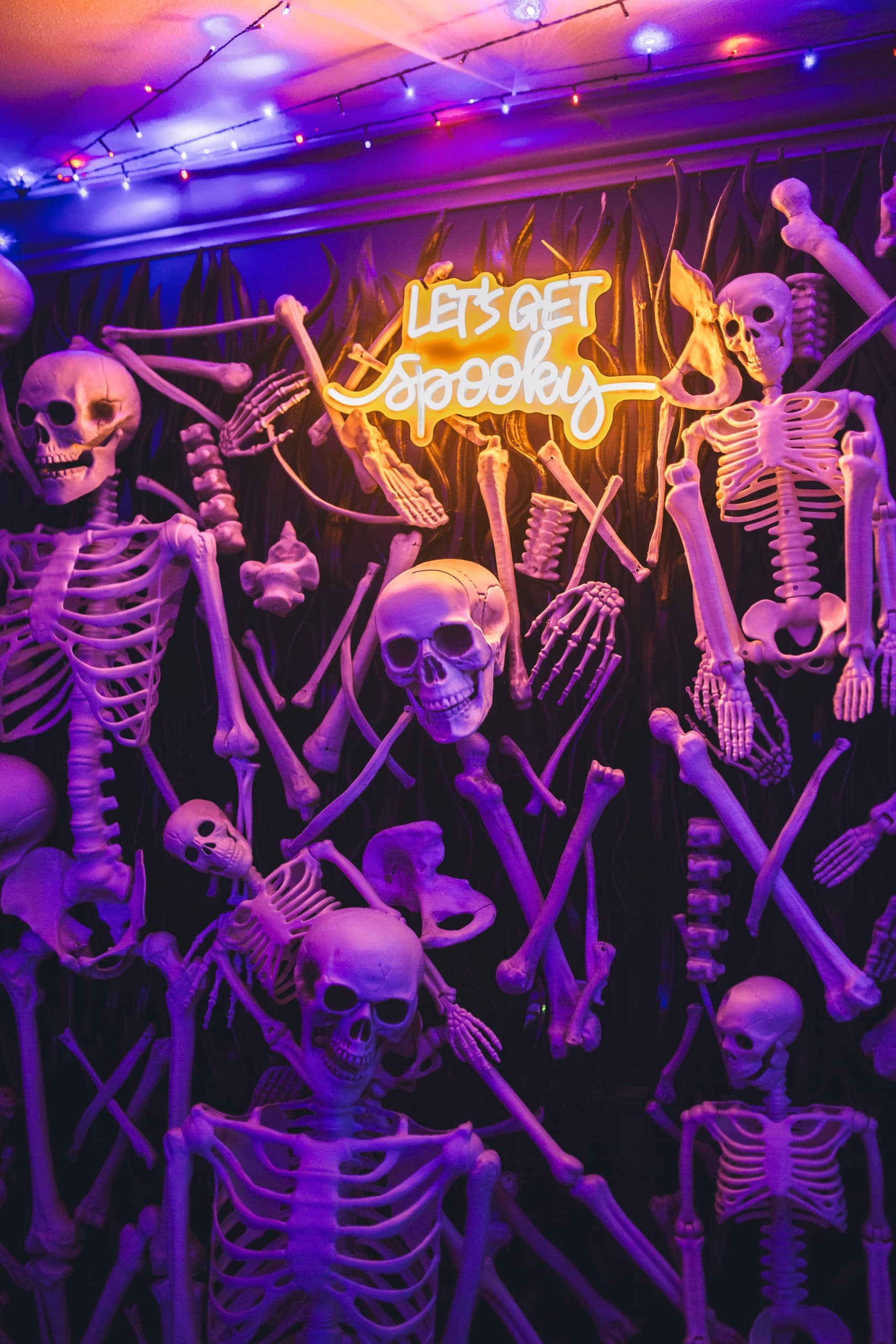 A bunch of halloween skeletons at Edgewater for Halloween