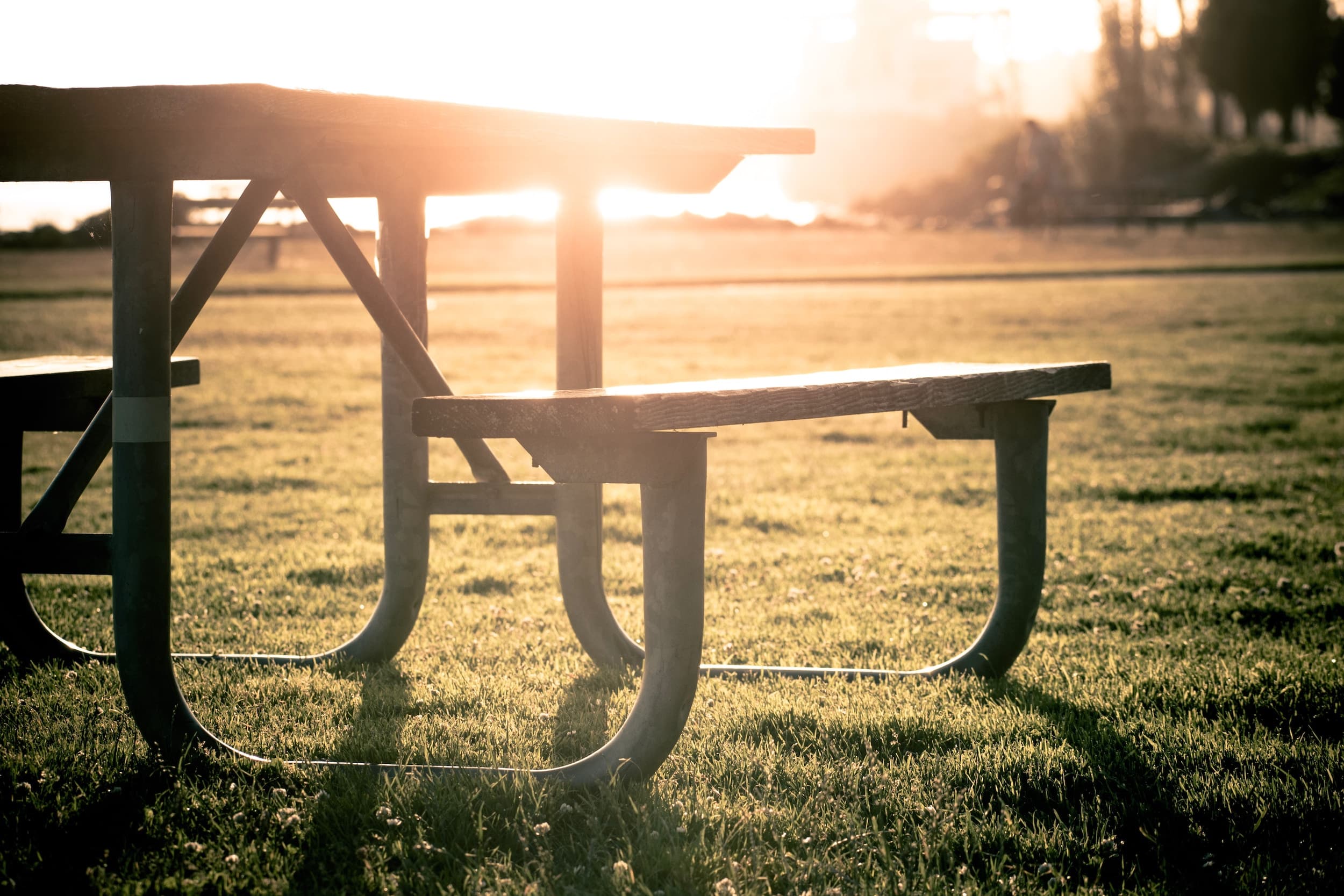 A picnic table in Myrtle Edwards park