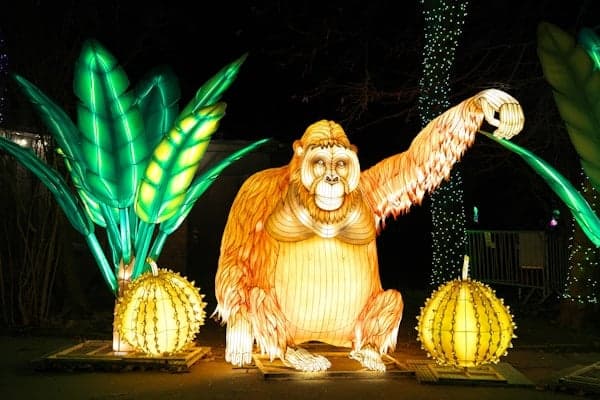 A gorilla lantern