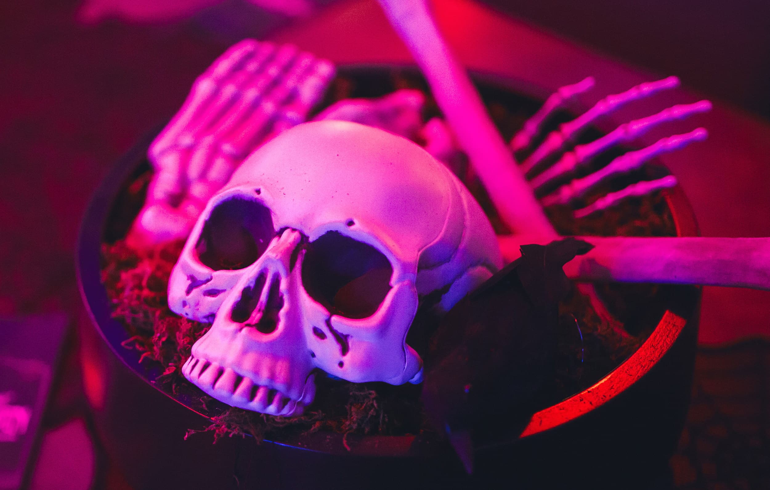 Halloween skull and skeleton decor in red and purple lighting at The Edgewater Hotel Seattle