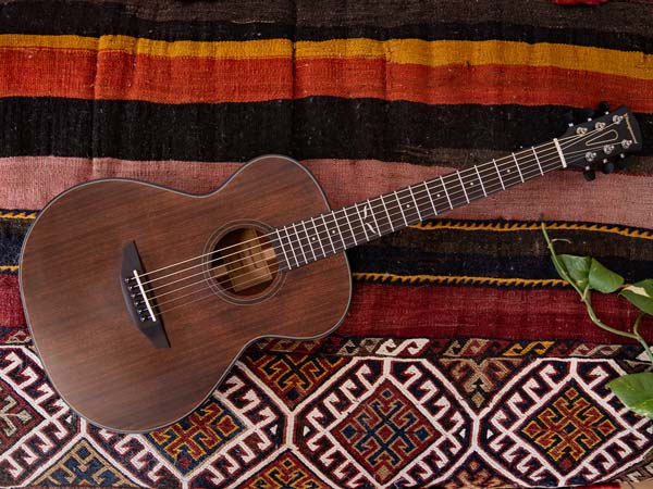 Orangewood Guitar On A Blanket.