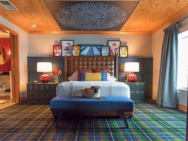 Dog On The Ottoman At The Foot Of The Guestroom Bed.