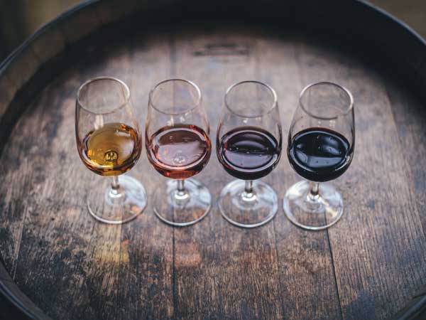 Winery tours Seattle
