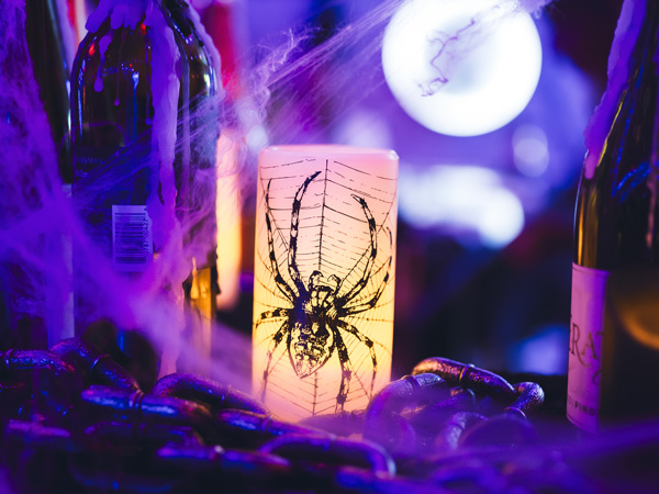 Spider Candle