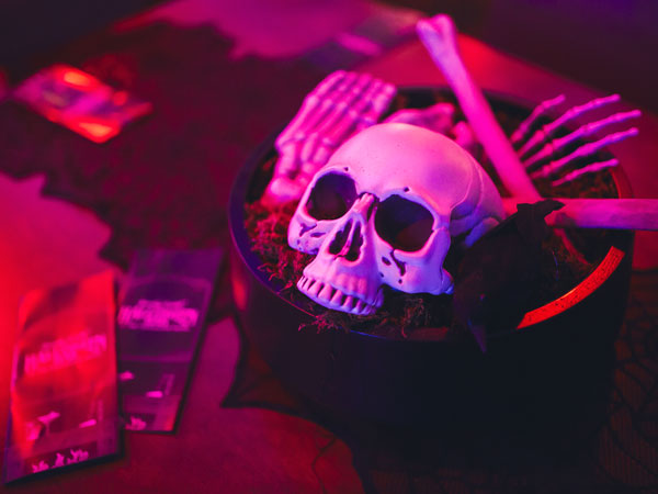 Skull In A Bucket